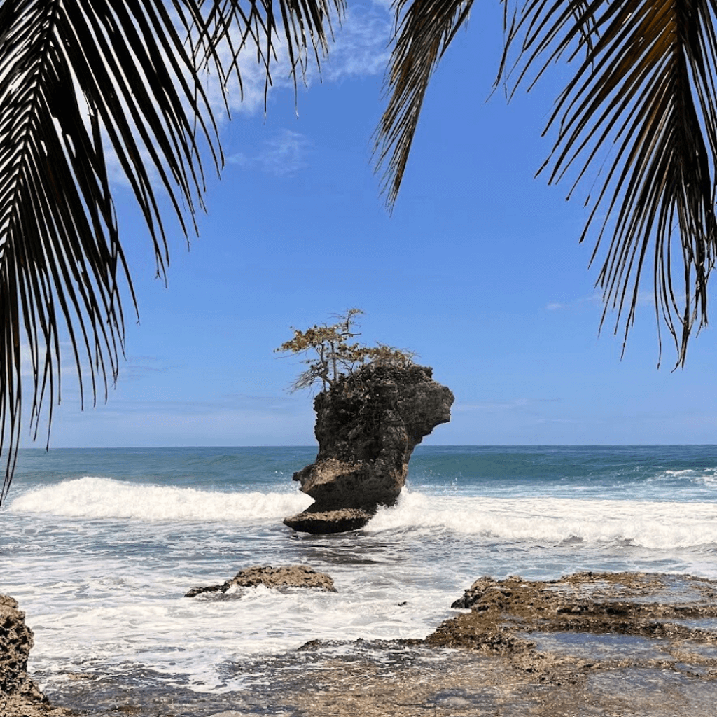 http://Rocky%20islet%20framed%20by%20palm%20fronds%20on%20the%20turquoise%20Caribbean%20coast%20at%20Manzanillo,%20Costa%20Rica