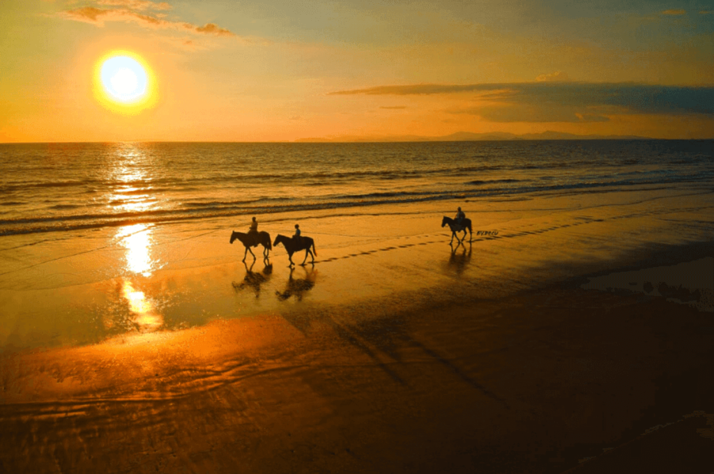 Three riders on horseback riding tour at sunset on the wet sand of Jaco Beach, Costa Rica